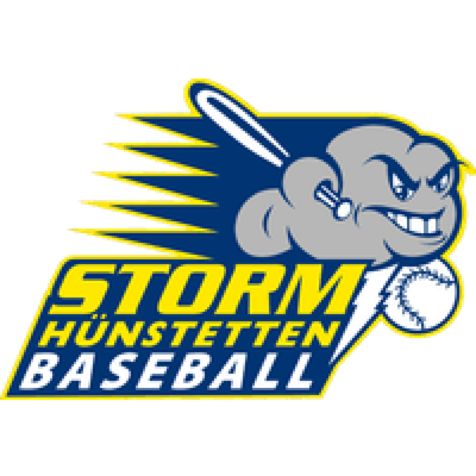 1664270836storm logo.png